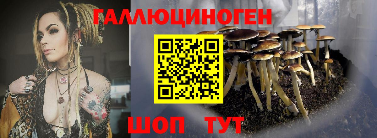 Псилоцибиновые грибы Psilocybe  Вход с VPN  Оренбург 