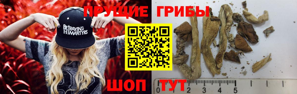 Псилоцибиновые грибы ЛСД Оренбург
